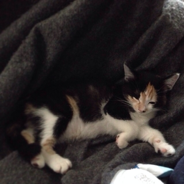 f:id:akiyochan15:20140429173002j:image:w400