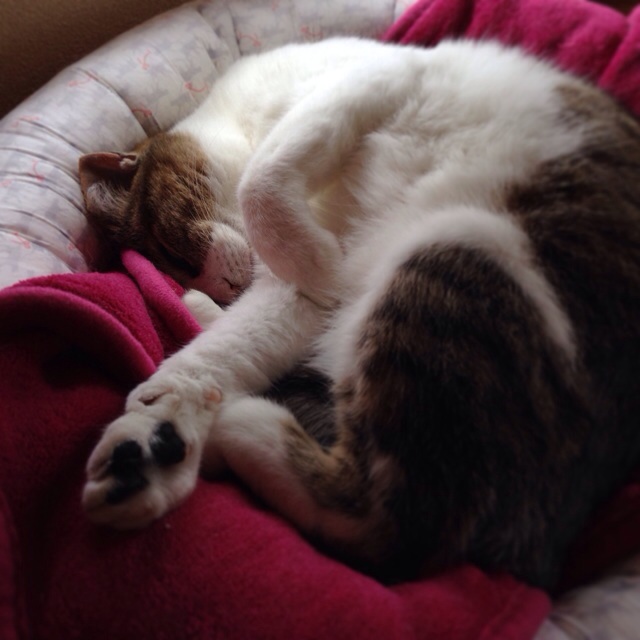 f:id:akiyochan15:20140501031900j:image:w400