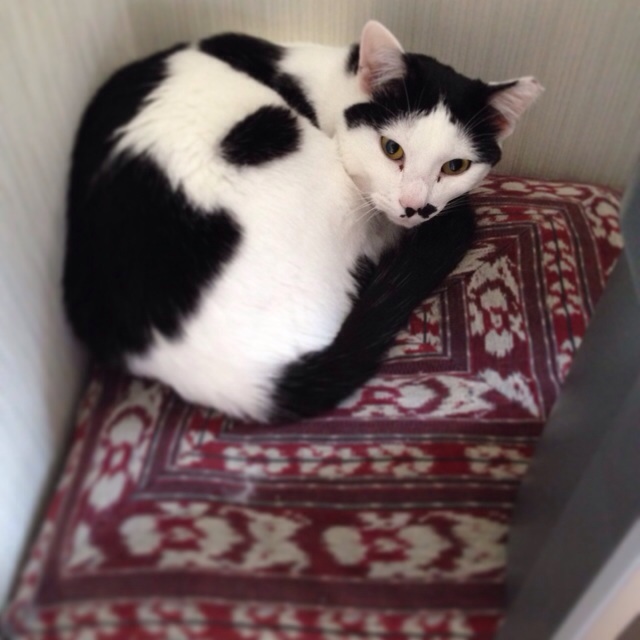 f:id:akiyochan15:20140501031933j:image:w400