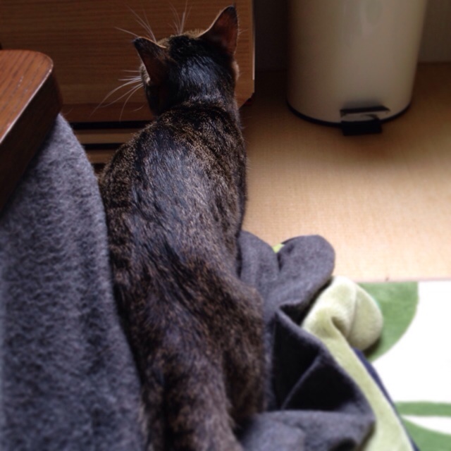 f:id:akiyochan15:20140501031934j:image:w400