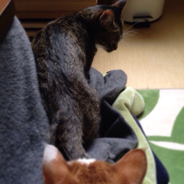 f:id:akiyochan15:20140501031935j:image:w400