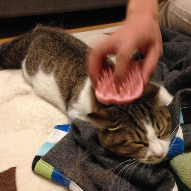 f:id:akiyochan15:20140502020050j:image:w400