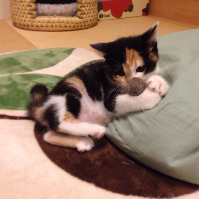 f:id:akiyochan15:20140502020053j:image:w400