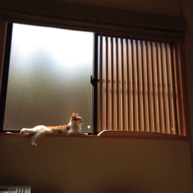 f:id:akiyochan15:20140506165142j:image:w400