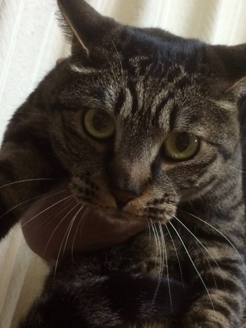 f:id:akiyochan15:20140508220646j:image:w400 f:id:akiyochan15:20140508220646j:image:w400