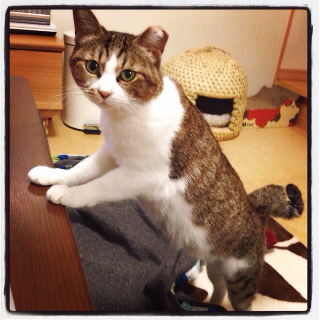 f:id:akiyochan15:20140510210528j:image:w400