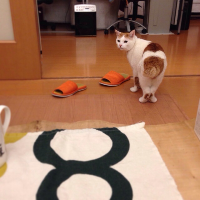 f:id:akiyochan15:20140516002940j:image:w400