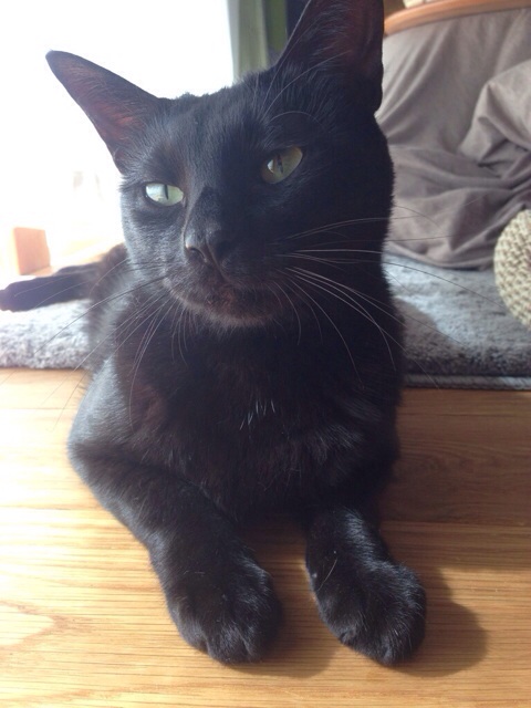 f:id:akiyochan15:20140521025241j:image:w389 f:id:akiyochan15:20140521025241j:image:w389