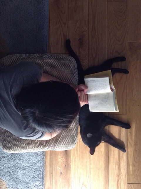 f:id:akiyochan15:20140521025242j:image:w389 f:id:akiyochan15:20140521025242j:image:w389