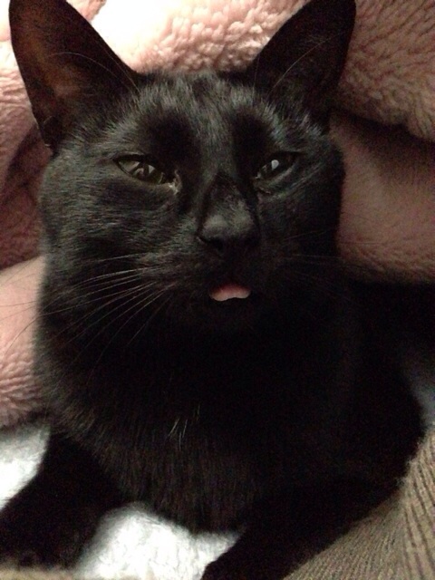 f:id:akiyochan15:20140521025243j:image:w389 f:id:akiyochan15:20140521025243j:image:w389