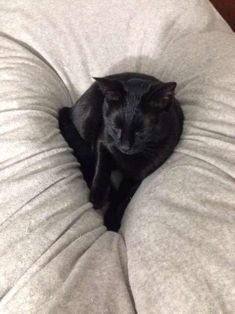 f:id:akiyochan15:20140521025244j:image:w389 f:id:akiyochan15:20140521025244j:image:w389