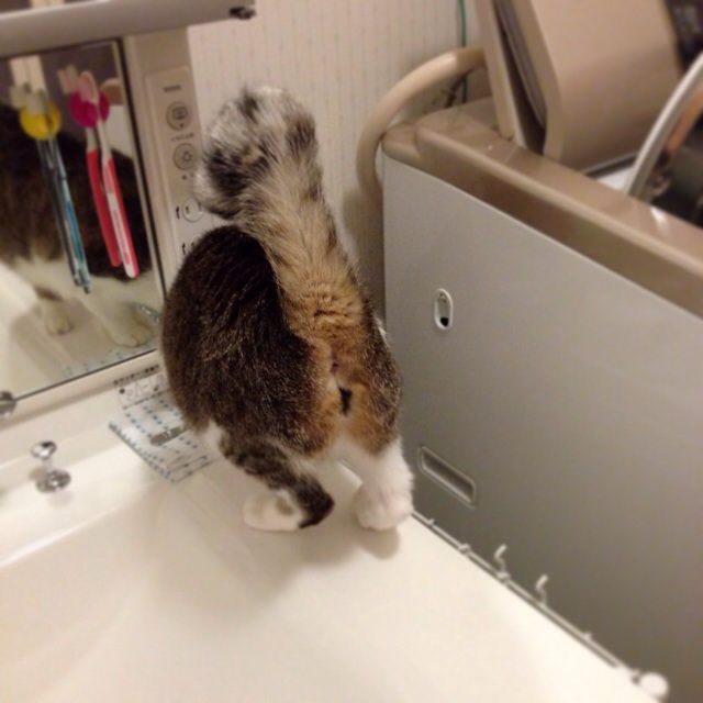 f:id:akiyochan15:20140521025939j:image:w400