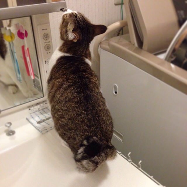 f:id:akiyochan15:20140521025940j:image:w400