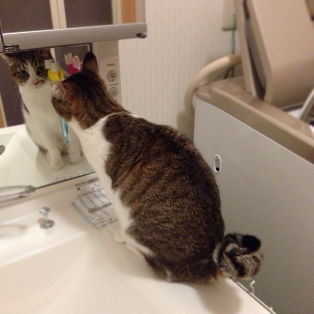 f:id:akiyochan15:20140521025941j:image:w400