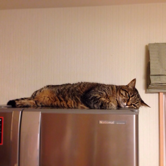 f:id:akiyochan15:20140521025943j:image:w400 f:id:akiyochan15:20140521025943j:image:w400