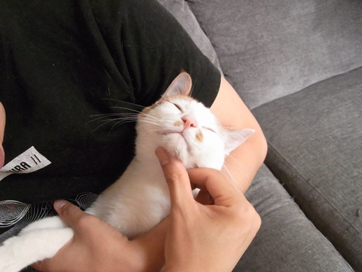 f:id:akiyochan15:20140621150411j:image