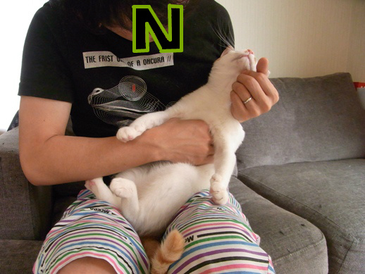 f:id:akiyochan15:20140621174414j:image