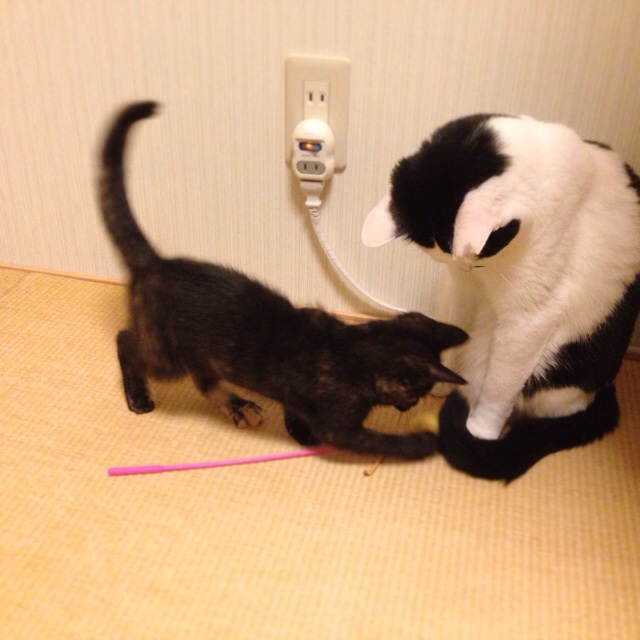 f:id:akiyochan15:20140710140238j:image:w400