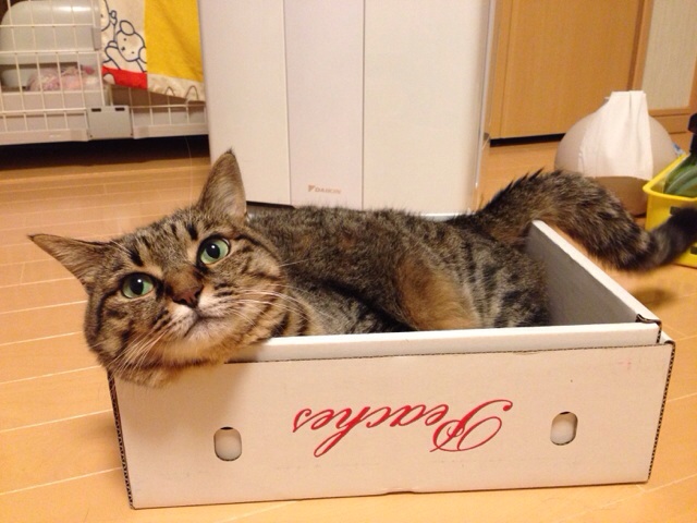 f:id:akiyochan15:20140724200936j:image:w518