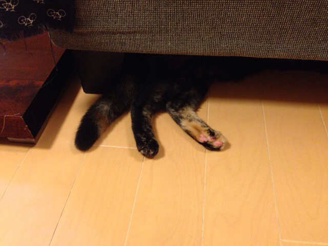 f:id:akiyochan15:20140908101337j:image:w518 f:id:akiyochan15:20140908101337j:image:w518