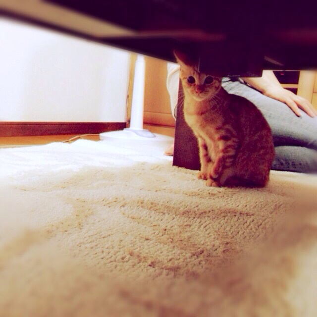 f:id:akiyochan15:20140908101338j:image:w389 f:id:akiyochan15:20140908101338j:image:w389