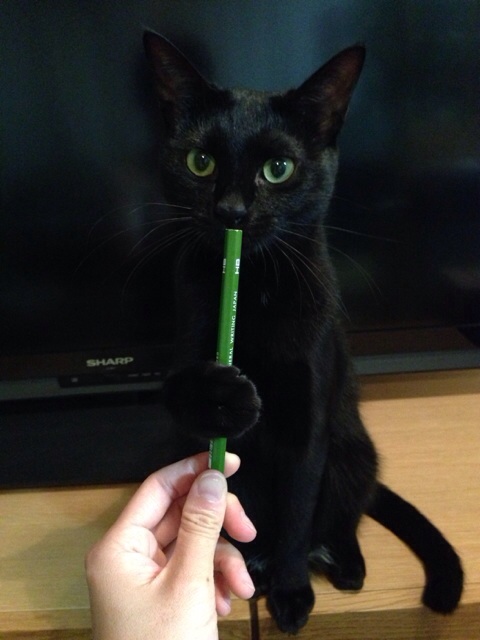 f:id:akiyochan15:20140921152243j:image:w389