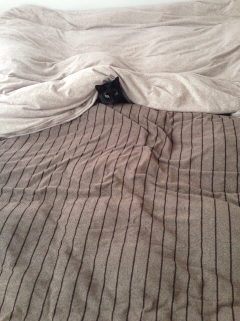 f:id:akiyochan15:20140921152244j:image:w389