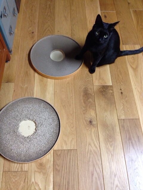 f:id:akiyochan15:20140921152246j:image:w389