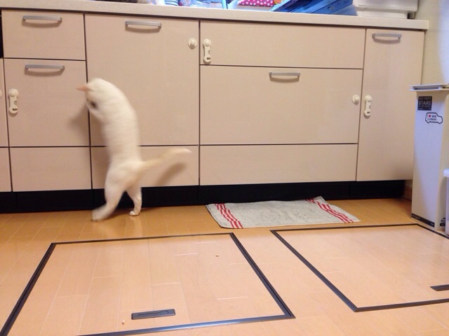 f:id:akiyochan15:20140921152408j:image:w400