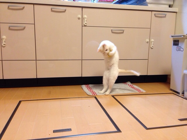 f:id:akiyochan15:20140921152409j:image:w400