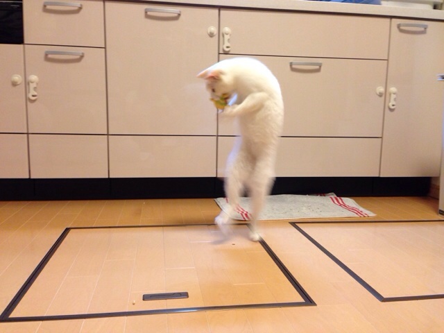 f:id:akiyochan15:20140921152410j:image:w400