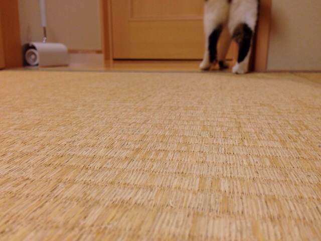 f:id:akiyochan15:20140923223426j:image:w518