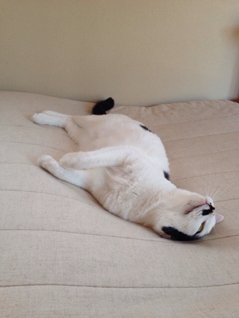 f:id:akiyochan15:20141002001747j:image:w389