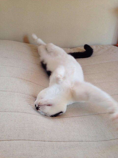 f:id:akiyochan15:20141002001748j:image:w389