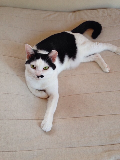 f:id:akiyochan15:20141002001811j:image:w389