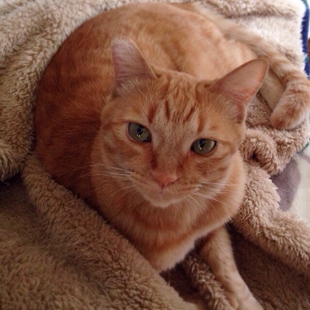 f:id:akiyochan15:20141013140123j:image:w400 f:id:akiyochan15:20141013140123j:image:w400