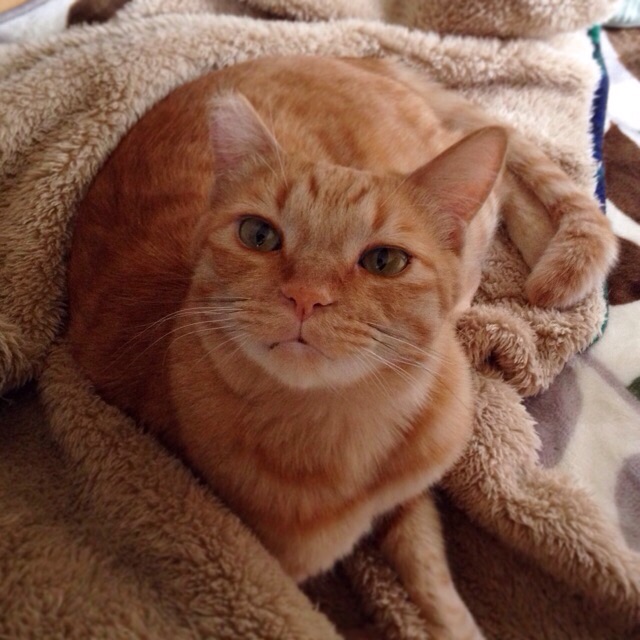 f:id:akiyochan15:20141013140125j:image:w400 f:id:akiyochan15:20141013140125j:image:w400