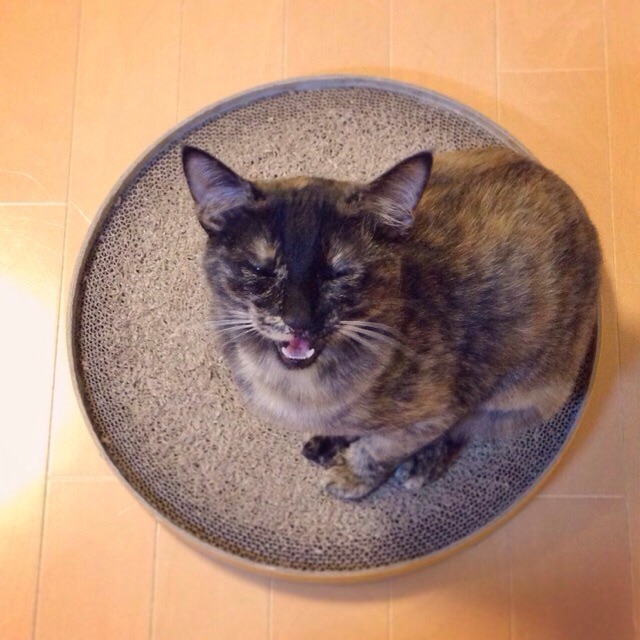 f:id:akiyochan15:20141013193858j:image:w400 f:id:akiyochan15:20141013193858j:image:w400