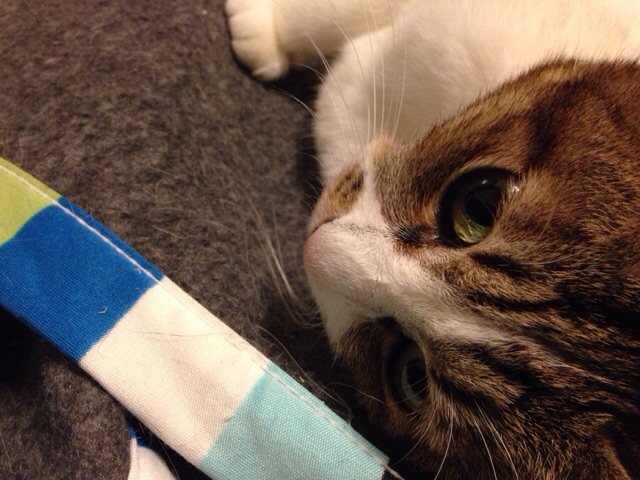 f:id:akiyochan15:20141106011246j:image:w518 f:id:akiyochan15:20141106011246j:image:w518