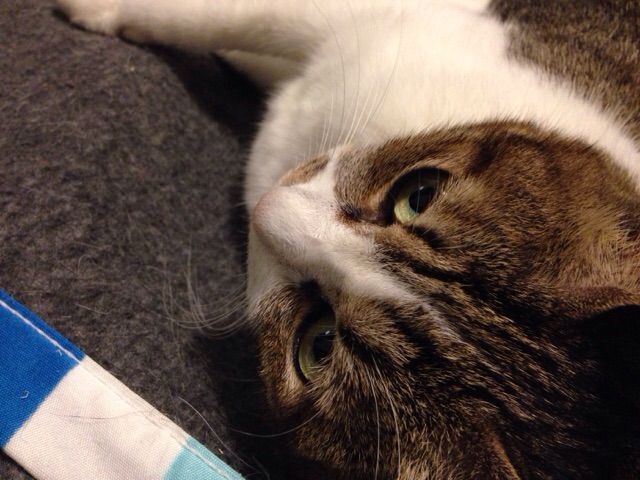 f:id:akiyochan15:20141106011248j:image:w518 f:id:akiyochan15:20141106011248j:image:w518