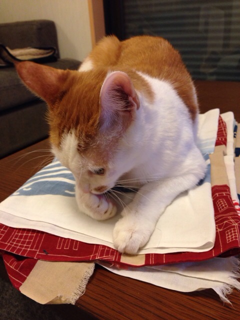 f:id:akiyochan15:20141109225940j:image:w389