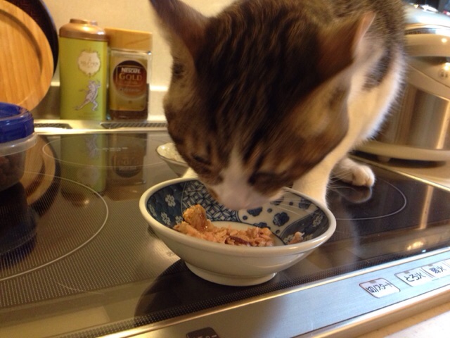 f:id:akiyochan15:20141120125602j:image:w518 f:id:akiyochan15:20141120125602j:image:w518