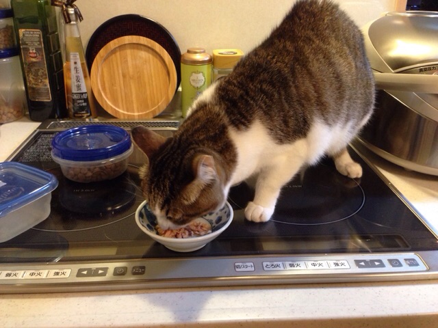 f:id:akiyochan15:20141120125603j:image:w518 f:id:akiyochan15:20141120125603j:image:w518