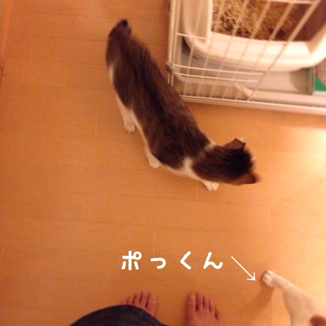 f:id:akiyochan15:20141201023452j:image:w400