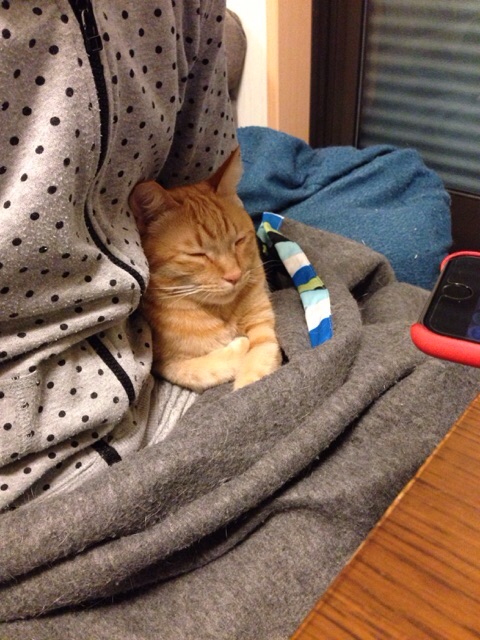 f:id:akiyochan15:20141215122427j:image:w389 f:id:akiyochan15:20141215122427j:image:w389