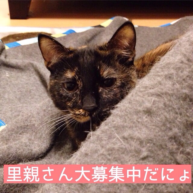 f:id:akiyochan15:20150117171727j:image:w300