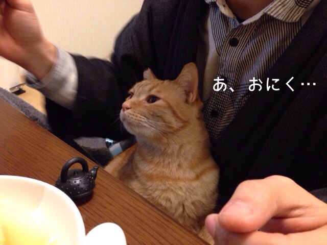 f:id:akiyochan15:20150118140039j:image:w518 f:id:akiyochan15:20150118140039j:image:w518