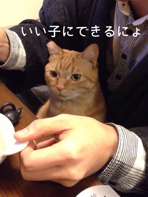 f:id:akiyochan15:20150118140041j:image:w389 f:id:akiyochan15:20150118140041j:image:w389