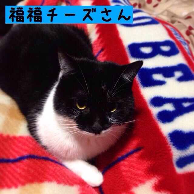 f:id:akiyochan15:20150118231531j:image:w400