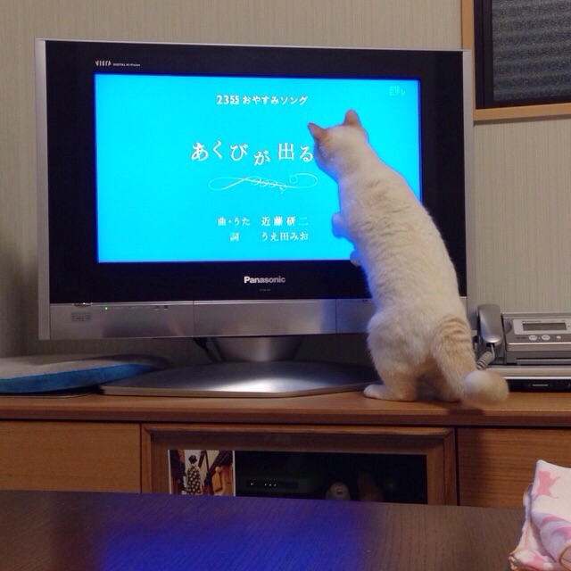 f:id:akiyochan15:20150120131931j:image:w400